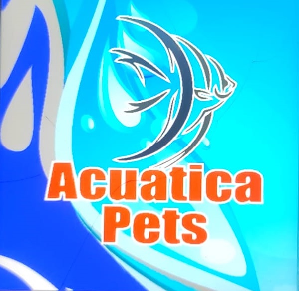 acuatica pets